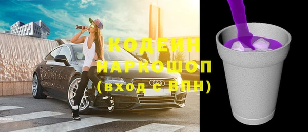 гашик Дмитров