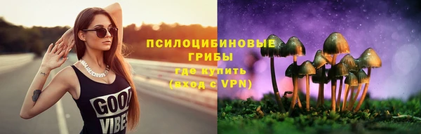 PSILOCYBIN Дмитровск