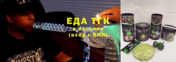 гашик Дмитров