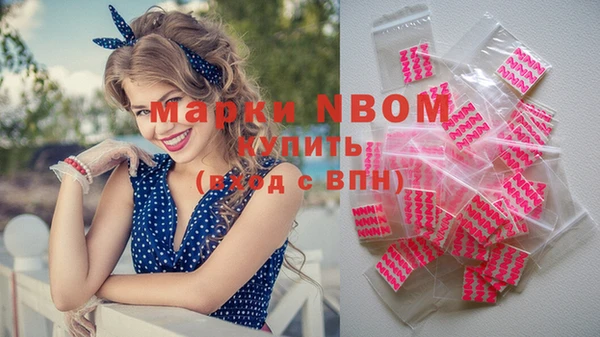 гашик Дмитров
