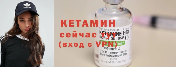 гашик Дмитров
