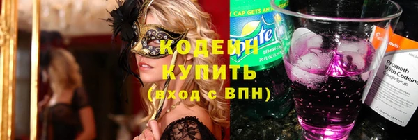 гашик Дмитров