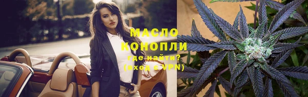 гашик Дмитров