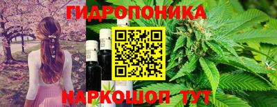 прущие грибы Бузулук