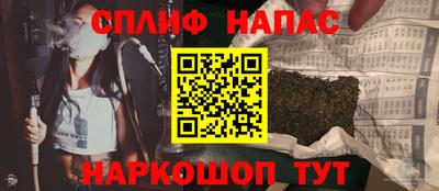 МДПВ Будённовск